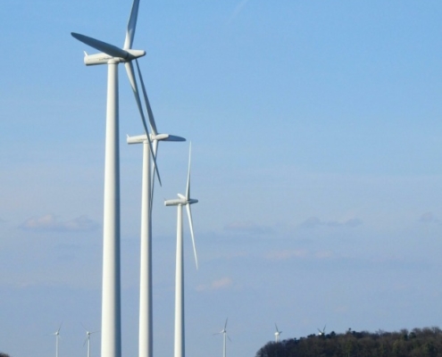 Begeleiding energiecooperaties Waalwijk - Vlechtwerk