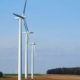 Begeleiding energiecooperaties Waalwijk - Vlechtwerk
