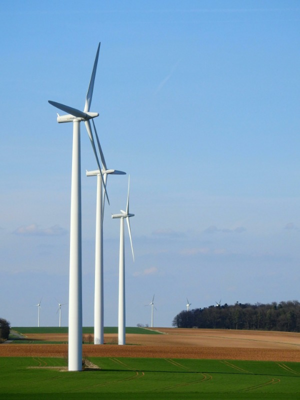 Begeleiding energiecooperaties Waalwijk - Vlechtwerk